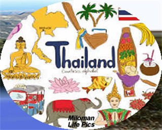 thai-Fin