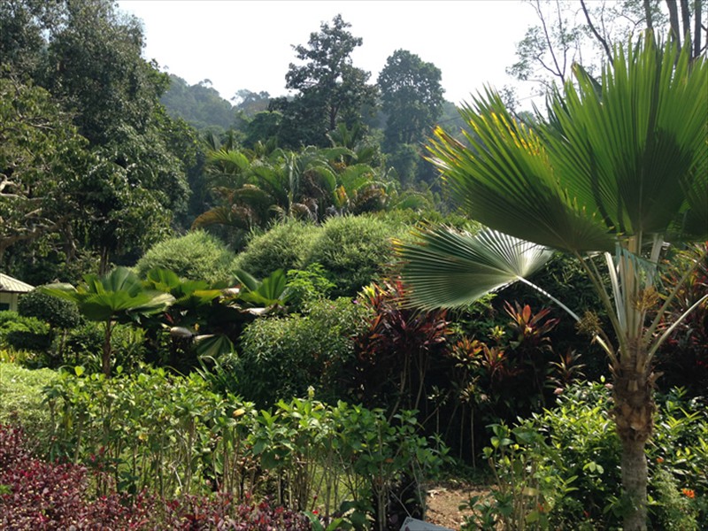 Beautiful huge park